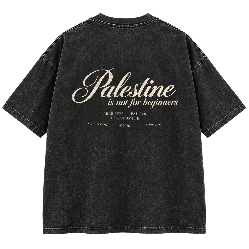 The "Palestine is not for beginners" Washed Oversized T-Shirt