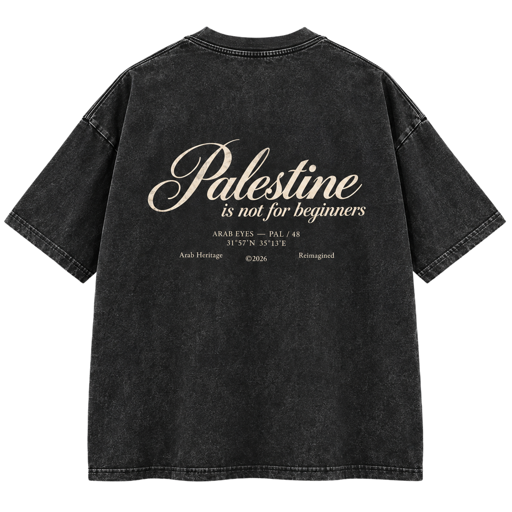 The "Palestine is not for beginners" Washed Oversized T-Shirt