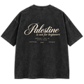 The "Palestine is not for beginners" Washed Oversized T-Shirt