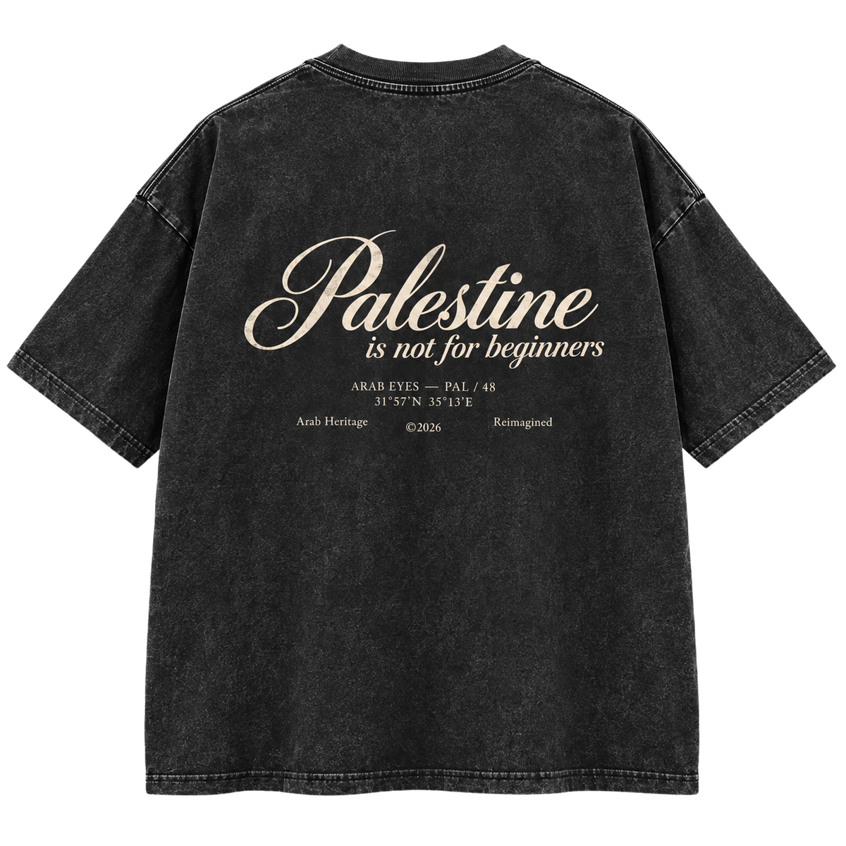 The "Palestine is not for beginners" Washed Oversized T-Shirt