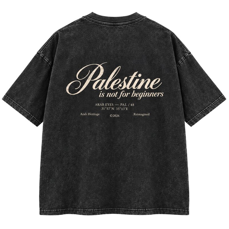 The "Palestine is not for beginners" Washed Oversized T-Shirt