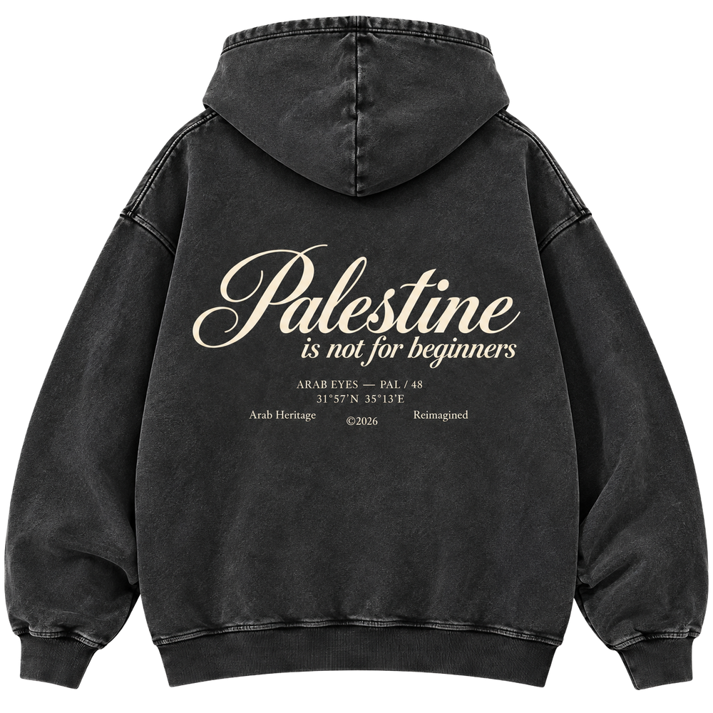The "Palestine is not for beginners" Washed Hoodie