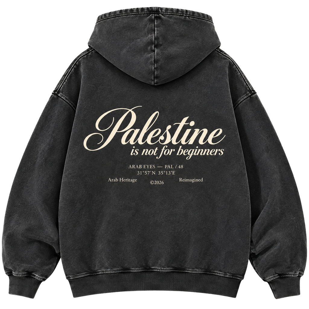 The "Palestine is not for beginners" Washed Hoodie