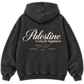 The "Palestine is not for beginners" Washed Hoodie