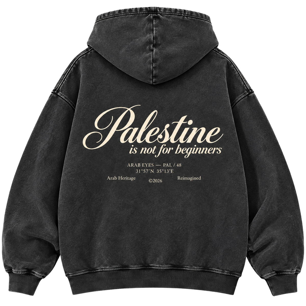 The "Palestine is not for beginners" Washed Hoodie
