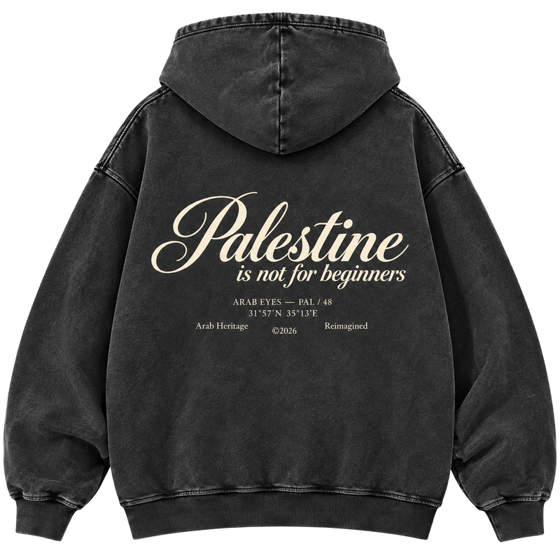 The "Palestine is not for beginners" Washed Hoodie