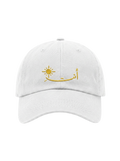 The "Anti Shams" Washed Cap