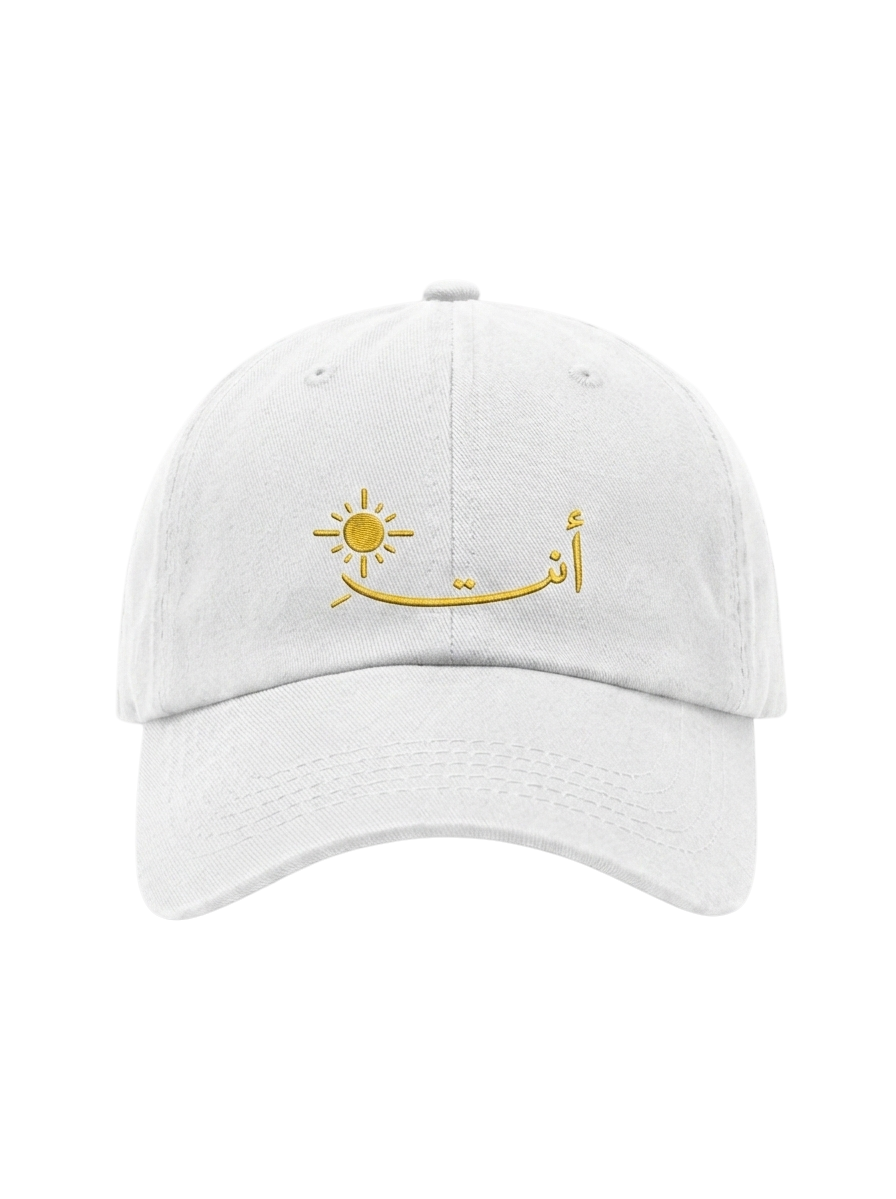 The "Anti Shams" Washed Cap